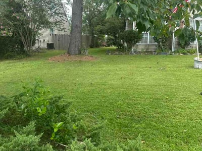 Lawn Care service in Staunton, 24401