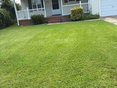 Lawn Care service in Staunton, 24401