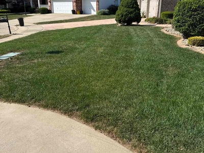 Lawn Care service in Alton, 62002