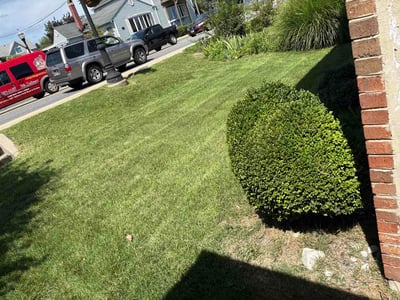 Lawn Care service in Capitol Heights, 20743