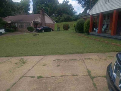 Lawn Care service in Dunlap, 37327