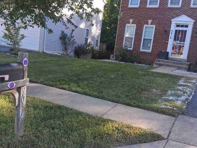 Lawn Care service in Clinton, 20735