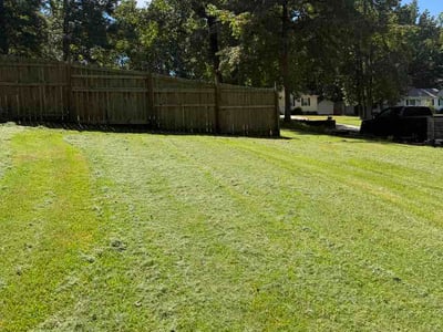 Lawn Care service in Wake Forest, 27587