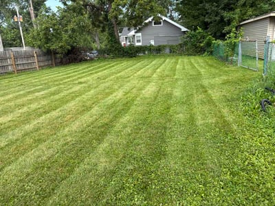 Lawn Care service in South Holland, 60473