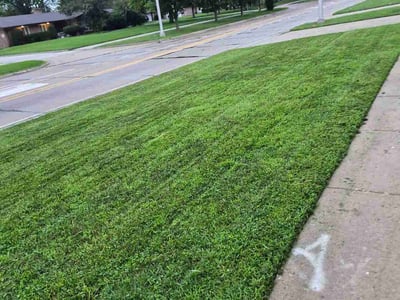 Lawn Care service in South Holland, 60473