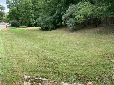 Lawn Care service in Carol Stream, 60188