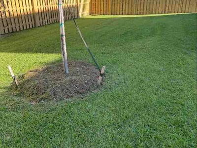 Lawn Care service in Blythewood, 29016
