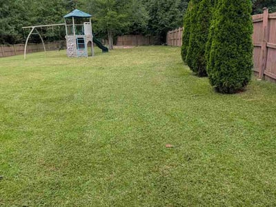 Lawn Care service in Blythewood, 29016