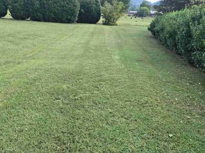 Lawn Care service in Powell, 37849