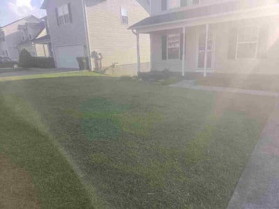Lawn Care service in Powell, 37849