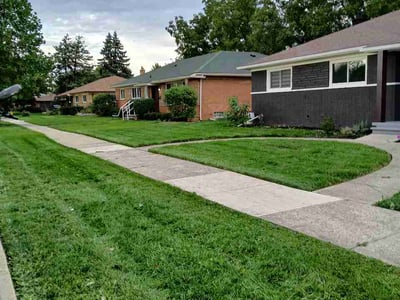 Lawn Care service in Mount Clemens, 48043