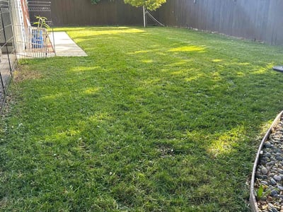 Lawn Care service in El Cajon, 92020
