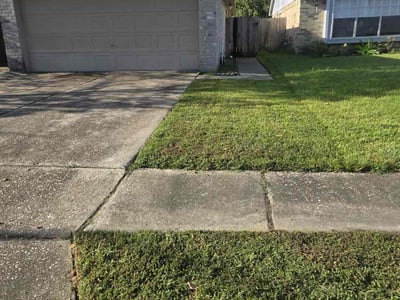 Lawn Care service in Redondo Beach, 90277