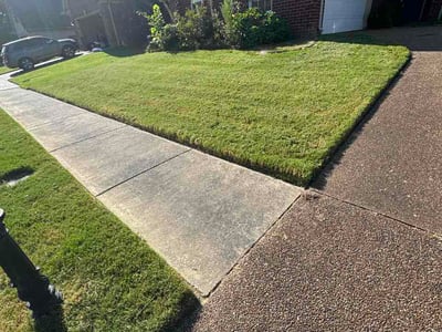 Lawn Care service in Arlington, 38002