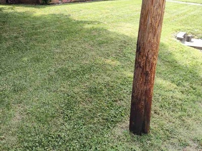Lawn Care service in El Cajon, 92020