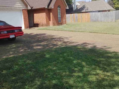 Lawn Care service in Arlington, 38002