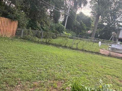 Lawn Care service in Redondo Beach, 90277