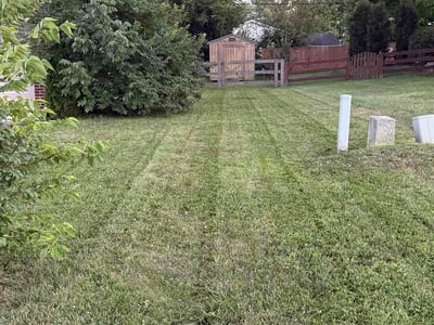 Lawn Care service in Hamilton, 45011