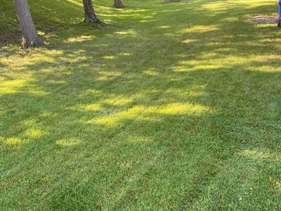 Lawn Care service in Hamilton, 45011