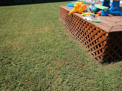 Lawn Care service in Youngsville, 27596