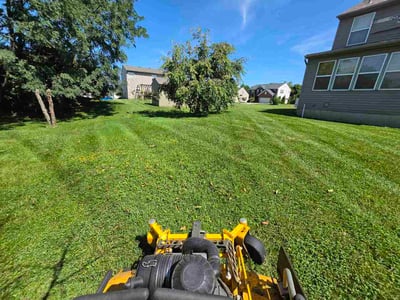 Lawn Care service in Independence, 41051
