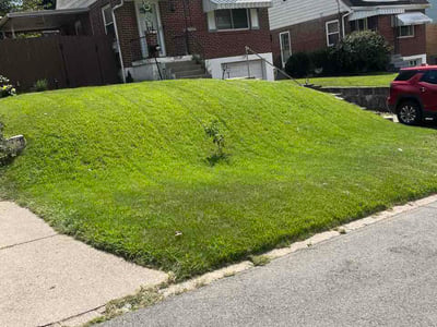 Lawn Care service in Independence, 41051