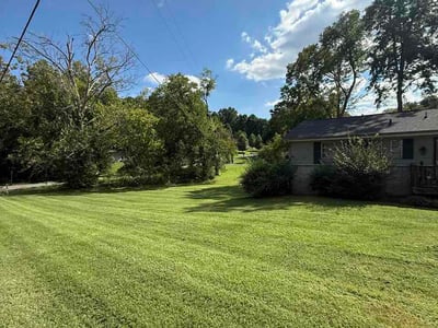 Lawn Care service in Lenoir City, 37771