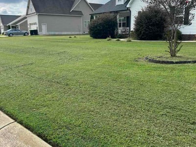 Lawn Care service in Kenly, 27542