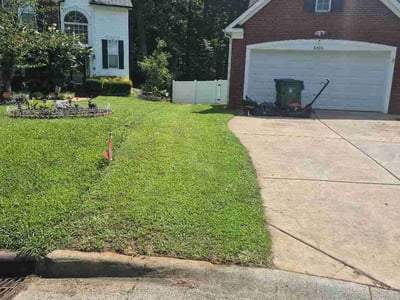 Lawn Care service in Kannapolis, 28083