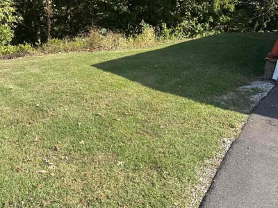 Lawn Care service in O Fallon, 62269