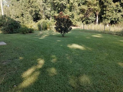 Lawn Care service in Princeton, 24740