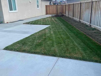Lawn Care service in Tracy, 95376