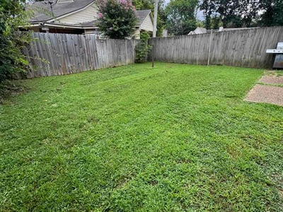 Lawn Care service in Chattanooga, 37402