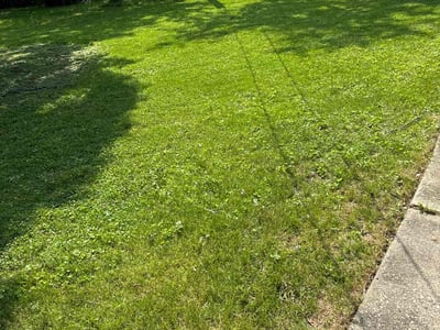 Lawn Care service in Park Forest, 60466