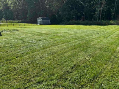 Lawn Care service in Seville, 44273