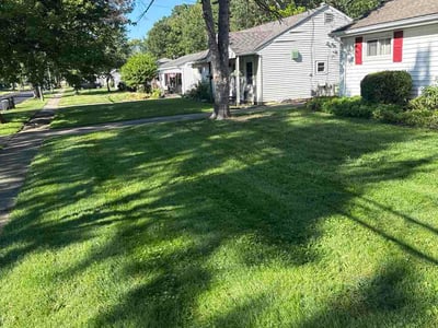 Lawn Care service in Seville, 44273