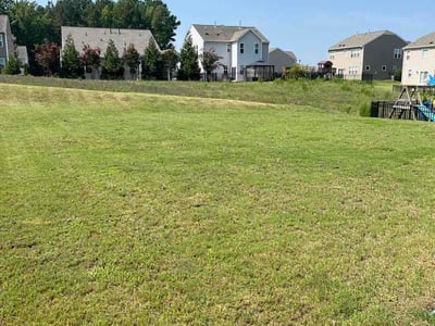 Lawn Care service in Franklinton, 27525