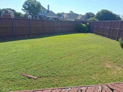 Lawn Care service in Westminster, 92683