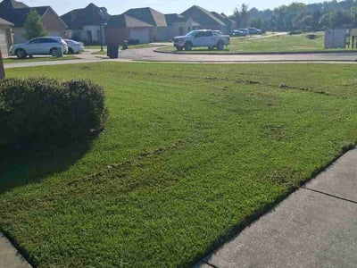 Lawn Care service in Jackson, 70748