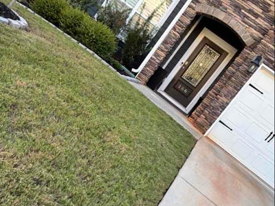 Lawn Care service in Travelers Rest, 29690