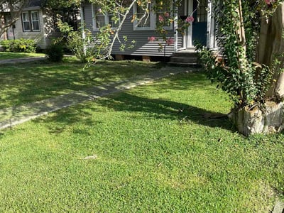 Lawn Care service in Port Allen, 70767