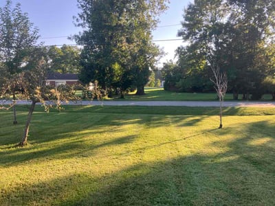 Lawn Care service in St Matthews, 40207