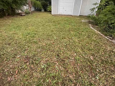 Lawn Care service in Venice, 90291