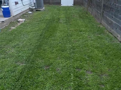 Lawn Care service in Venice, 90291