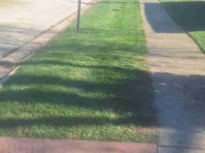 Lawn Care service in Oak Forest, 60452