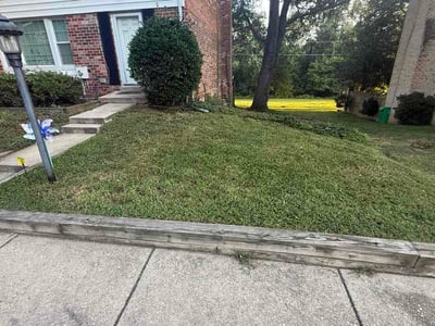 Lawn Care service in Gaithersburg, 20877