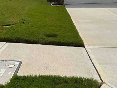 Lawn Care service in Downey, 90241