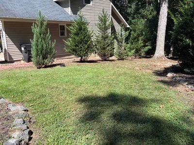 Lawn Care service in Downey, 90241