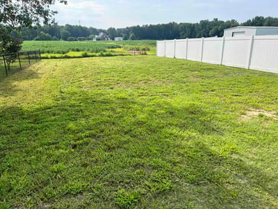 Lawn Care service in Truckee, 96161