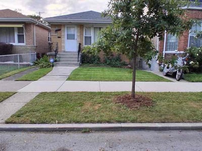 Lawn Care service in Evergreen Park, 60805